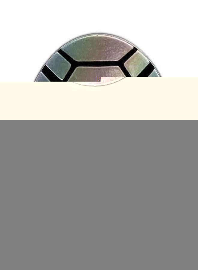 Pokémon Metagross Coin - Non-Prism Silver Large Size