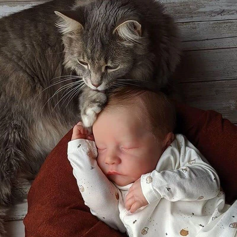 Levi Reborn Baby Doll - 19 Inch 3D Skin Visible Veins Awake & Sleeping