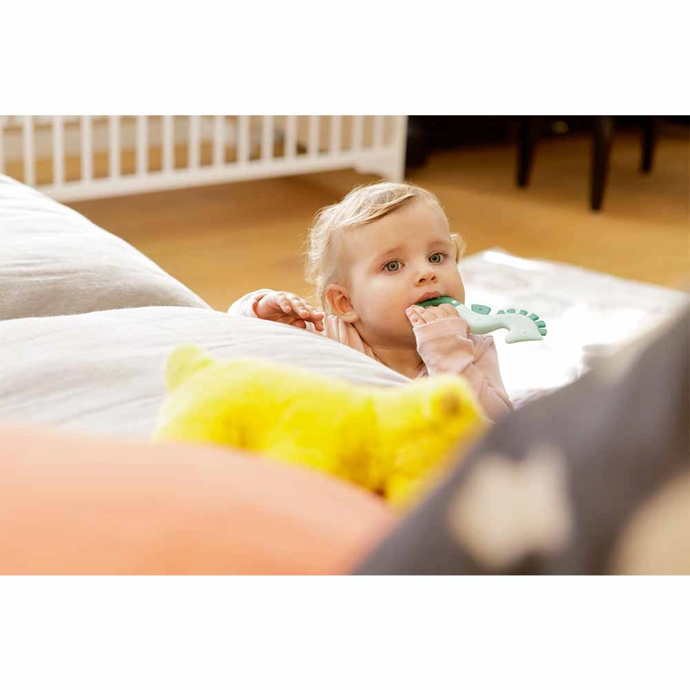 All Stages Seahorse Teether