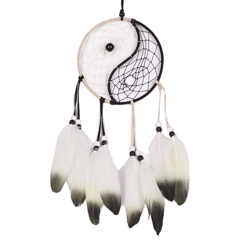 Dreamcatcher - Siderosphere, feathers, lines, wood beads.