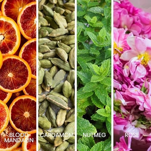 Dapper Eau de Parfum 100ml