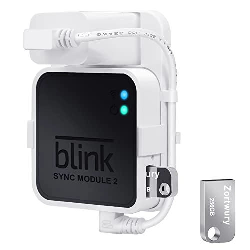 Blink USB Flash Drive - 256GB USB 3.0 + Outlet Wall Mount - Blink Sync Module 2