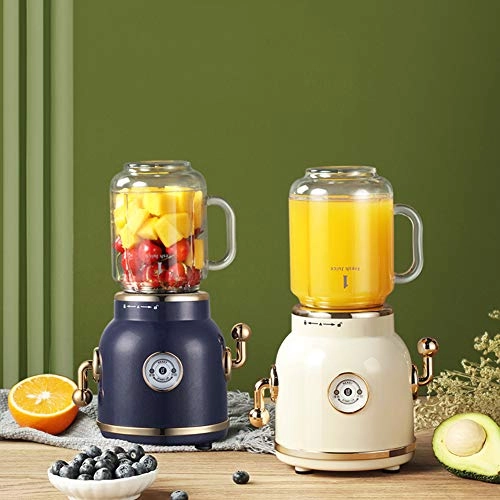 Retro Fruit Juicer Blender - 300W