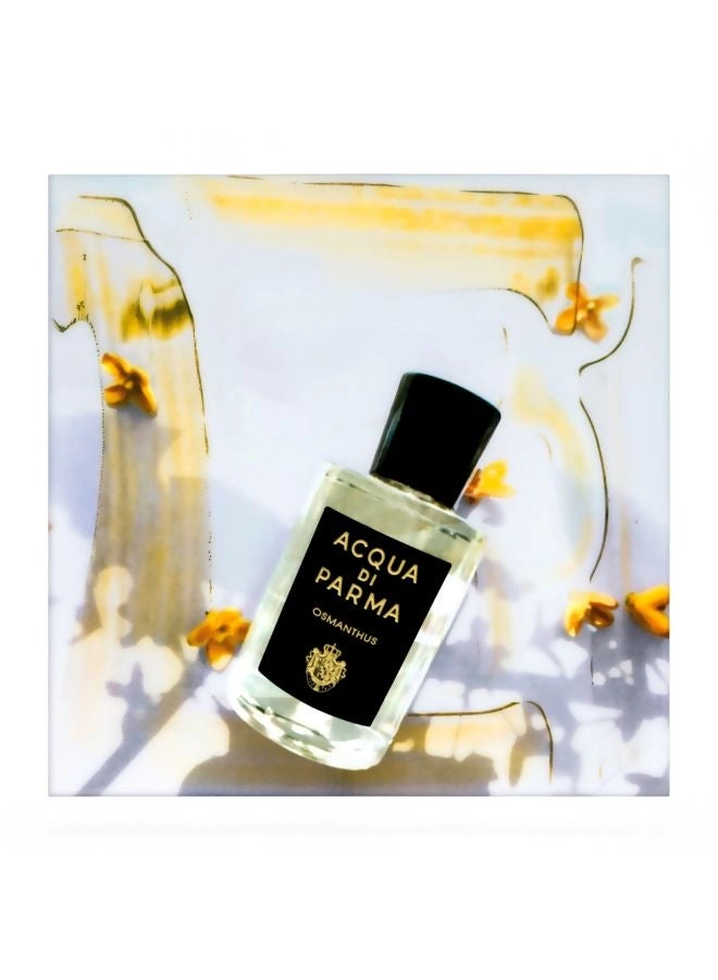 Sakura Eau de Parfum 100 ml