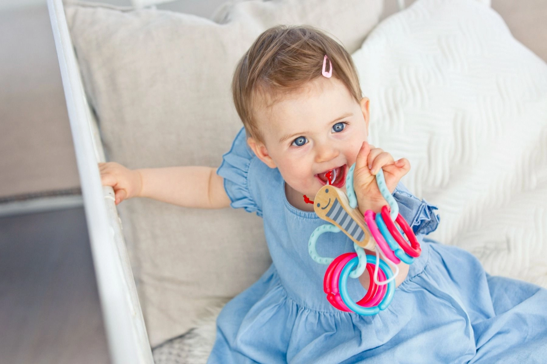 Butterfly Links - 0 month