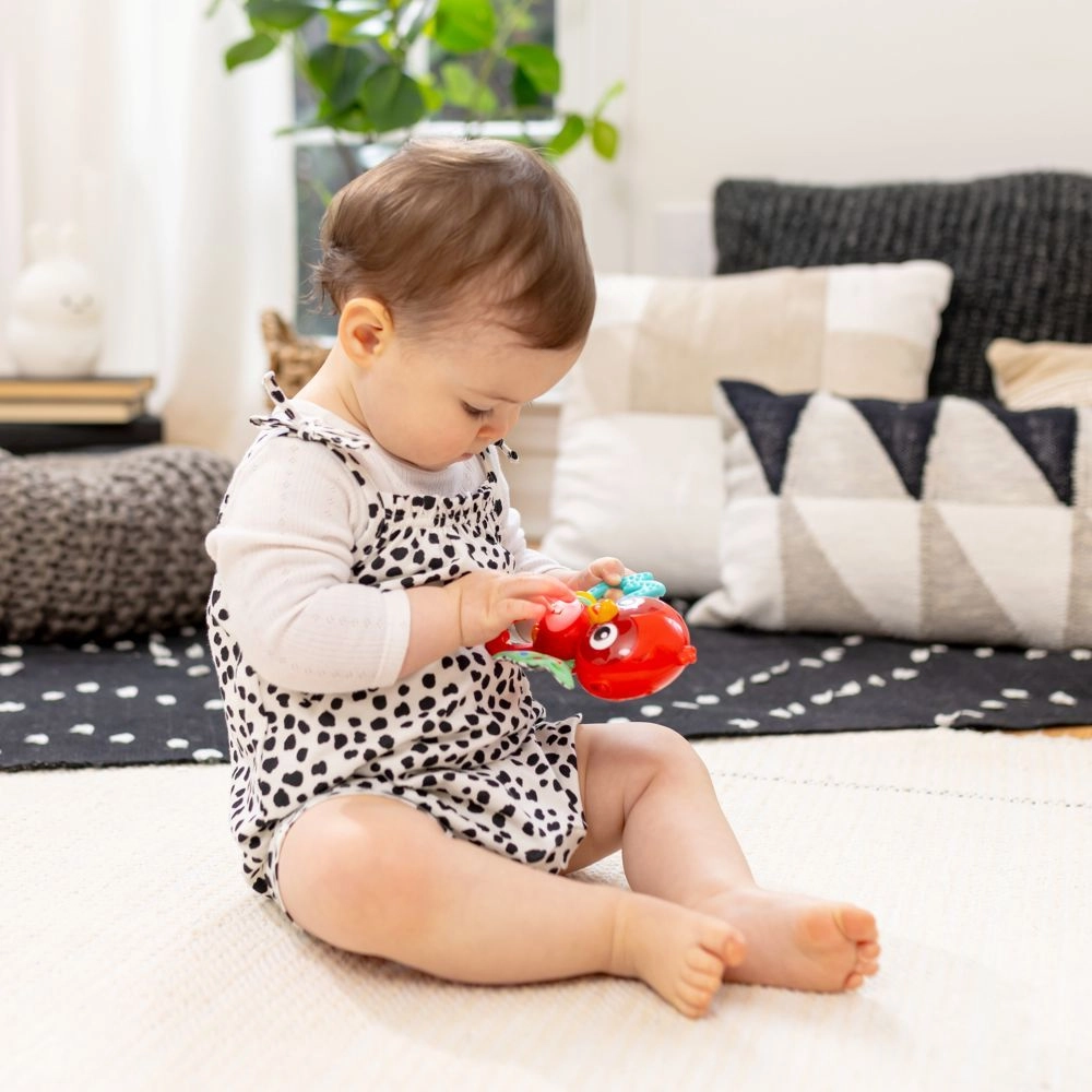 Roxy's Bright Flight Musical Toy - 3 months