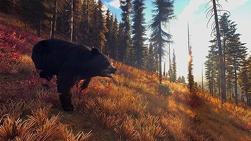 Way of the Hunter Hunting Season One - Xbox Series X