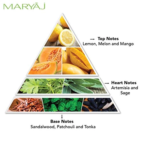 Wild Stripes Eau de Parfum - 100ml + Grey Stone Eau de Parfum - 100ml + 2 Parfum Testers FREE