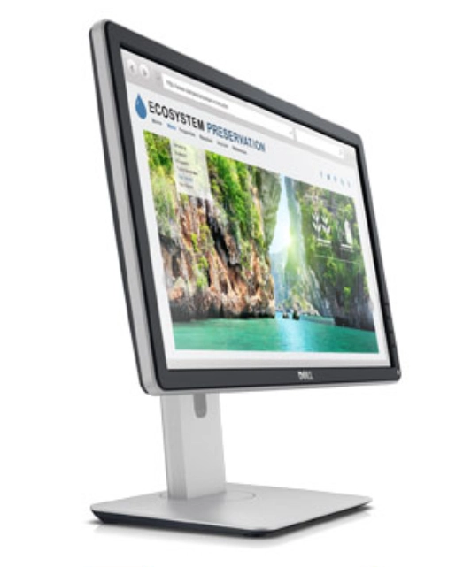 (Renewed) P2018H - 19.5 Inches 1600x900 Pixels