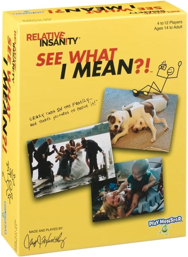 Relative Insanity: See What I Mean?! - Party Game