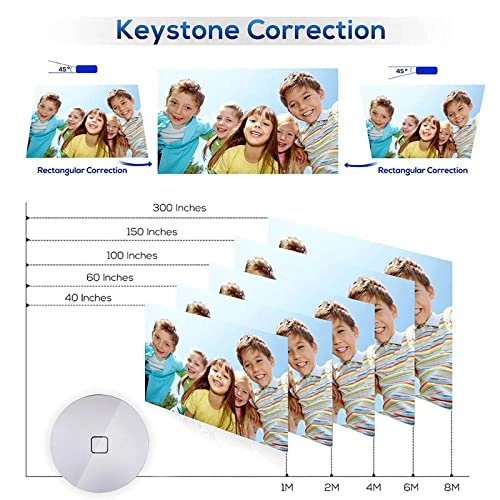 TY0222000833 300 ANSI Lumens