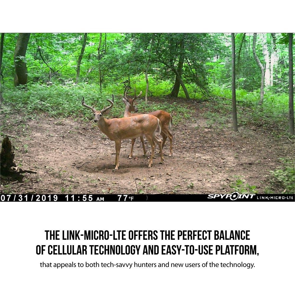 LINK-MICRO-LTE - 10MP