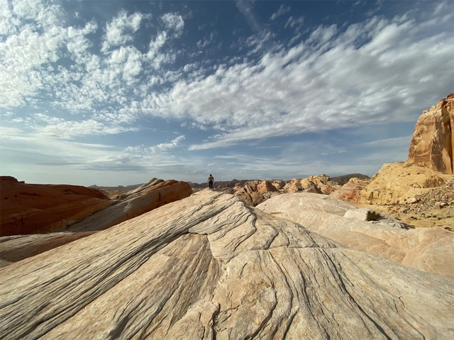 New Ultra Wide camera.