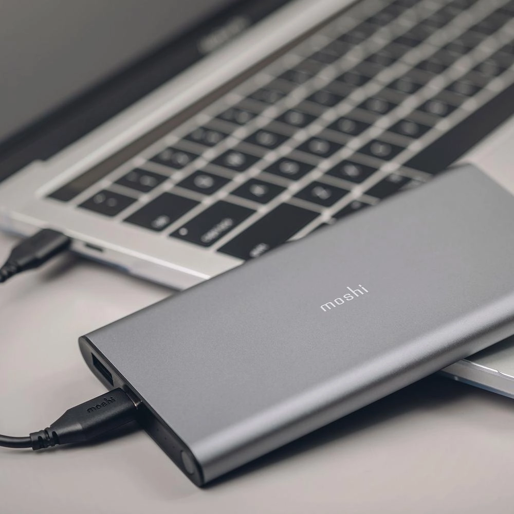 Moshi IONBANK - 5,000 mAh