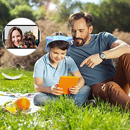 P47M Wireless Headphone