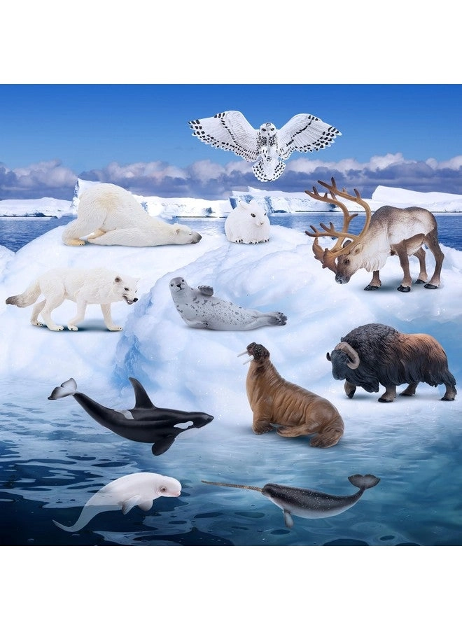 Polar Animals Figurines - Polar Bear Caribou Whales Walrus 12pcs 4-7"