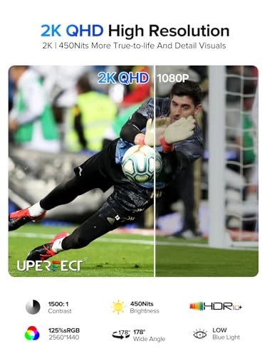 Portable Monitor - 24.5" 2560x1440