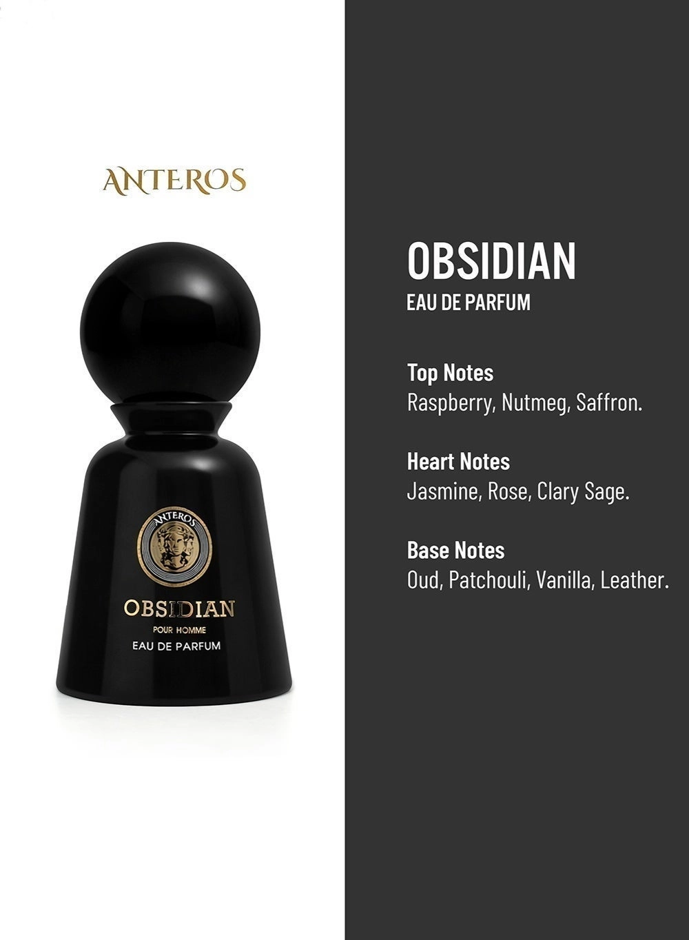Obsidian Eau de Parfum 100ml