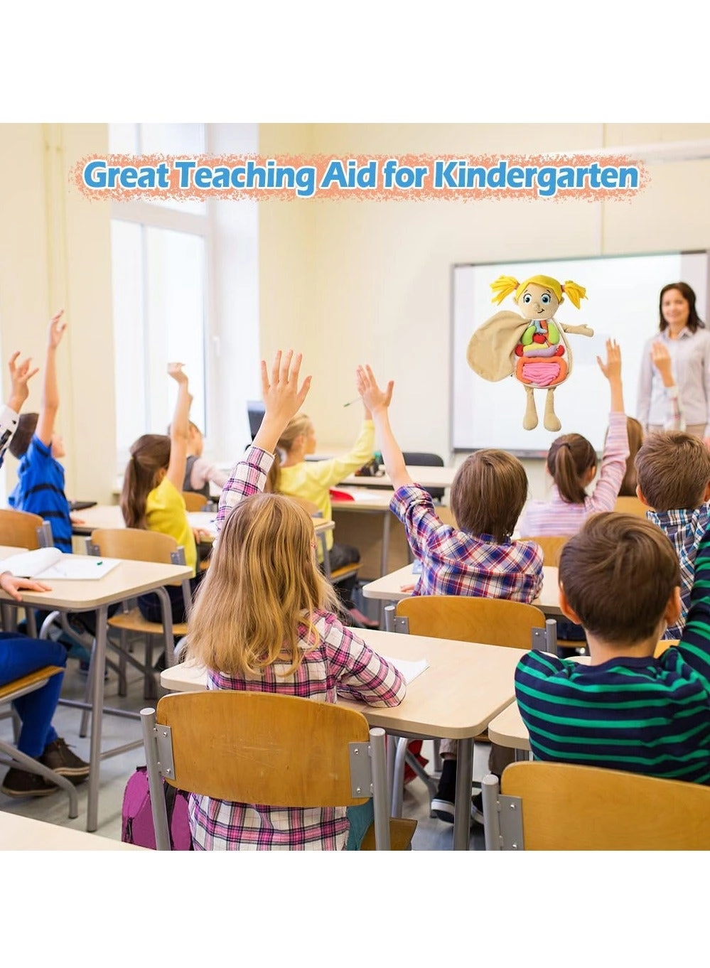 Human Body Anatomy Toy - 1 piece(s)