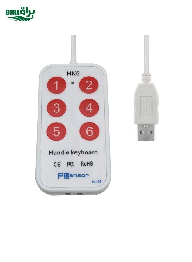 BURAQ HK-6 - 6 keys 2 meter USB Keypad