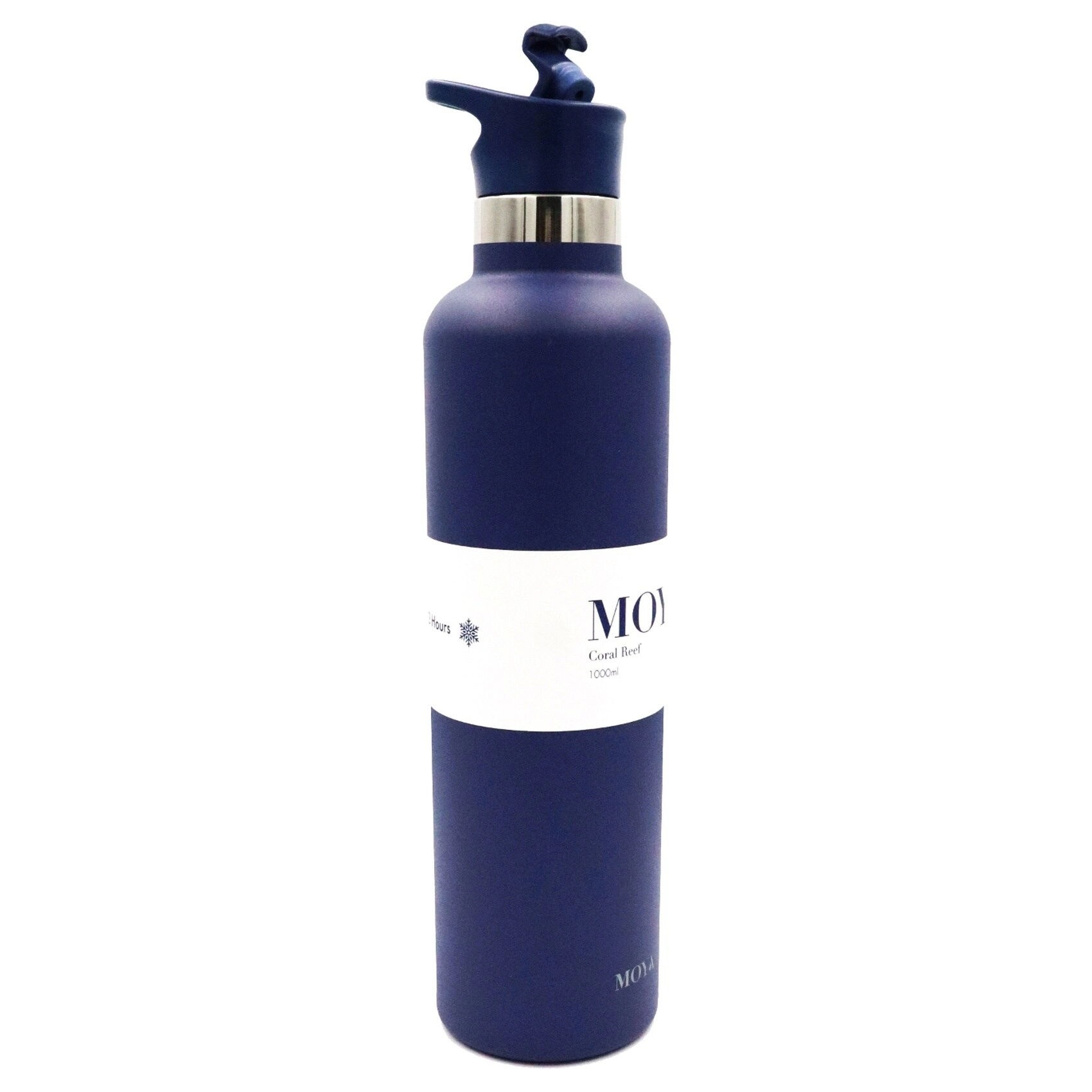 Coral Reef Flask - 1L