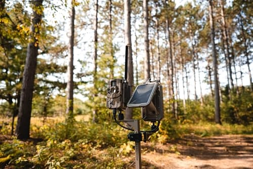 Connect Max 2.0 - Cellular MO Bottomland Camo