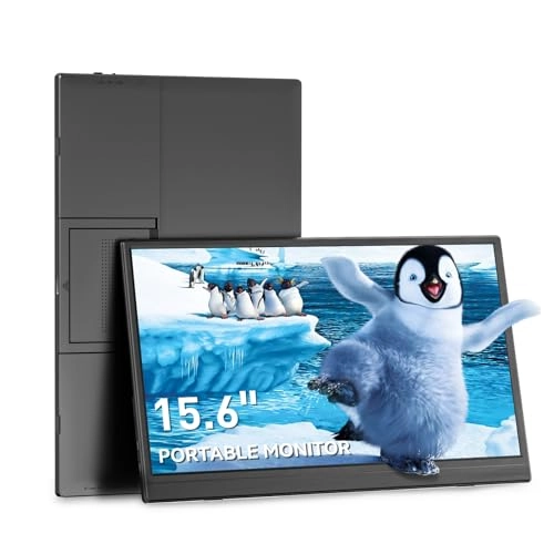 Portable Monitor - Full HD 15.6 Inches
