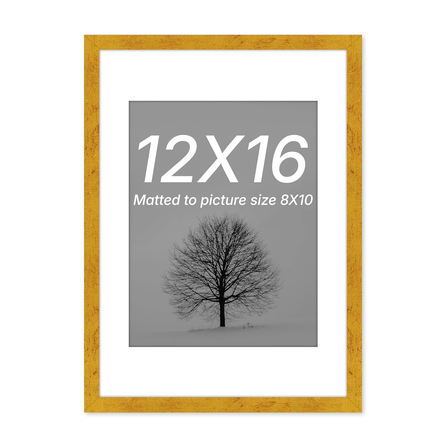 Photo Frame - 12x16 Inch