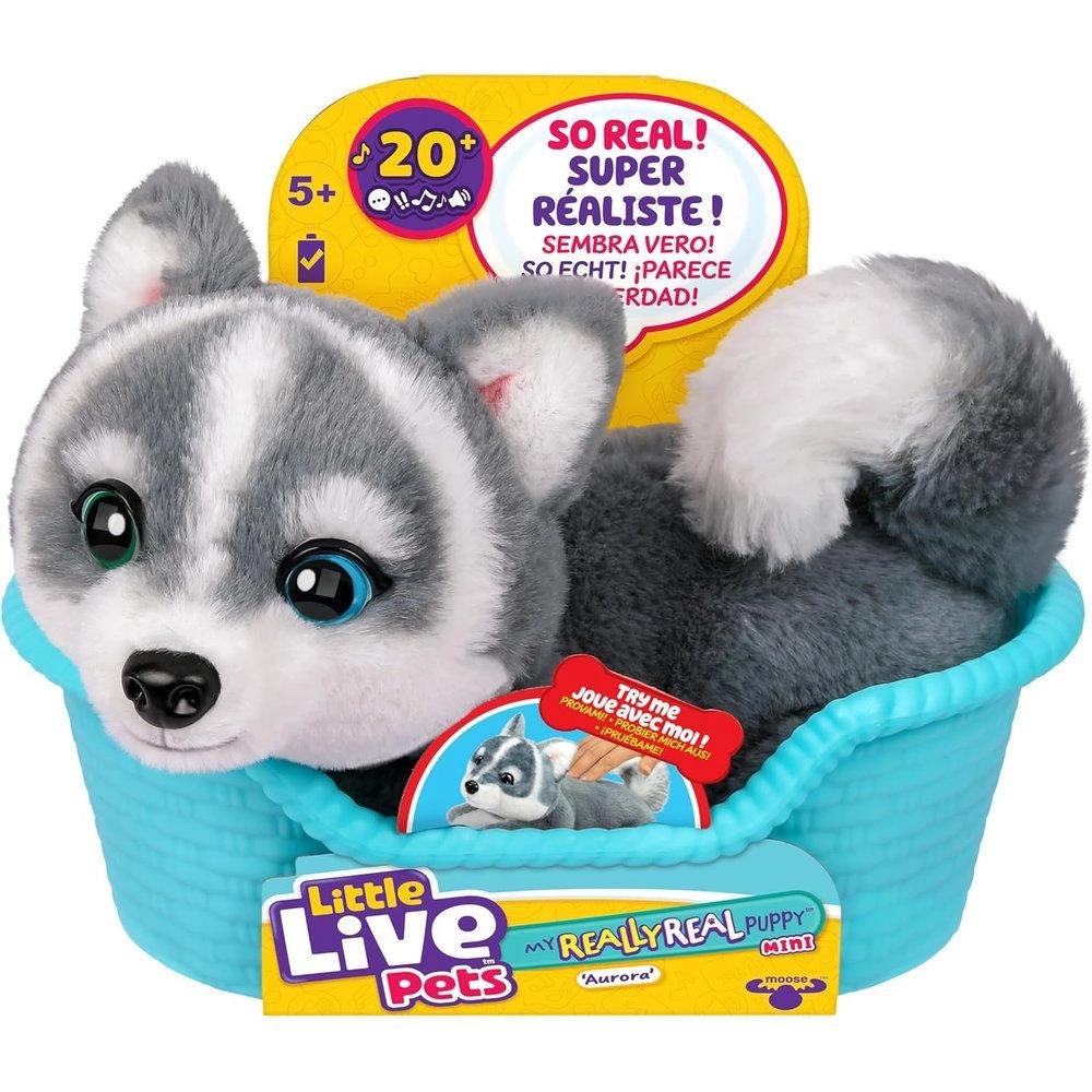 Little Live Pets Aurora My Really Real Mini Puppy 14.6 cm Plush - 20+ sounds