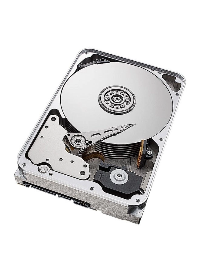 SkyHawk AI - 12.0 TB