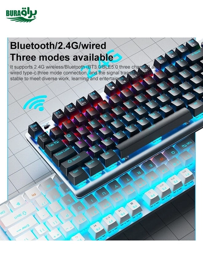 F3001 - Wired/Wireless