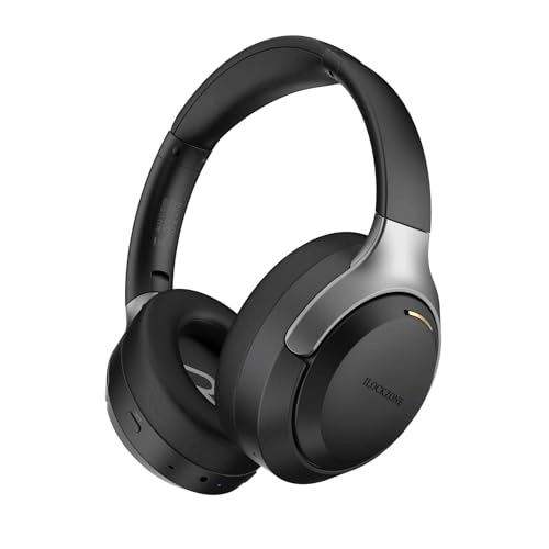 LC30Pro Wireless Headphone