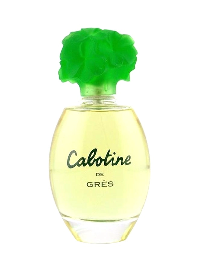 Perfume For Women Eau de Toilette 100ml