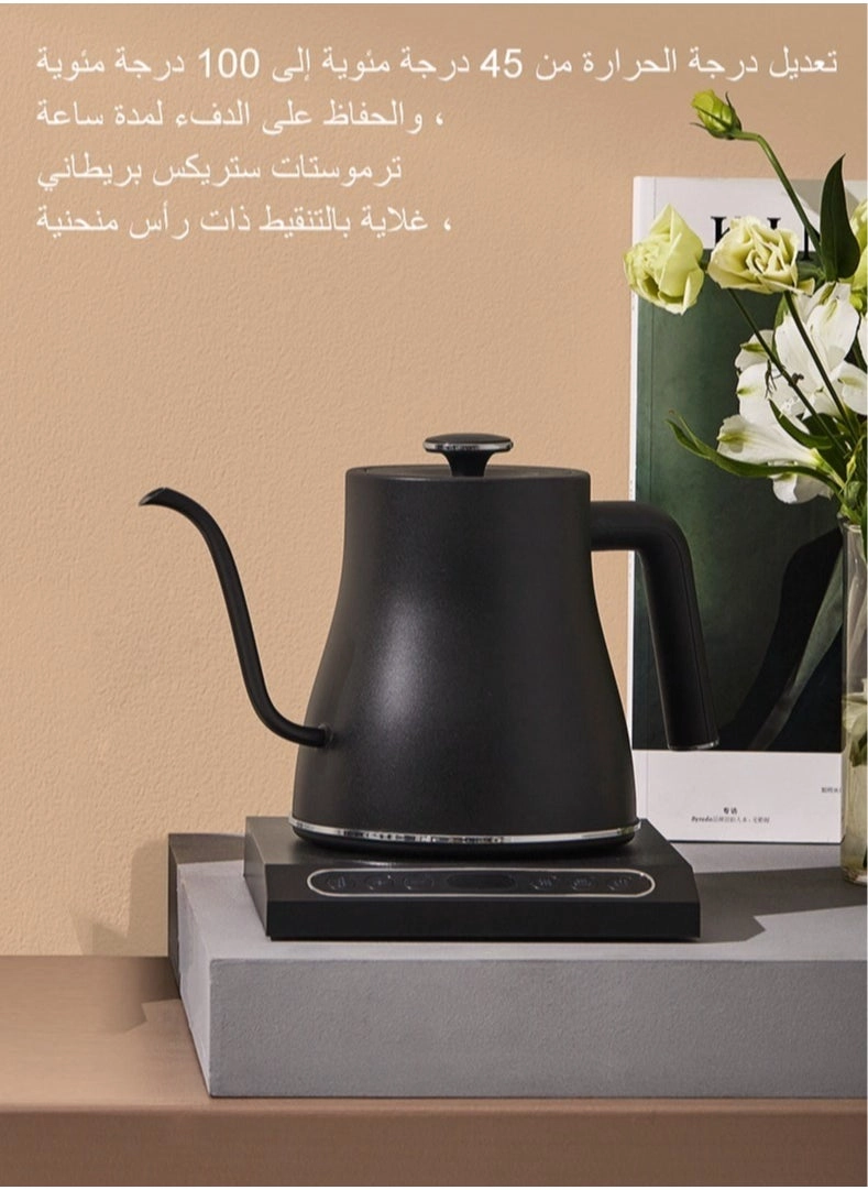 Gooseneck Electric Kettle
