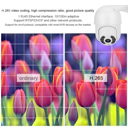 PTZ Dome Camera 1080P