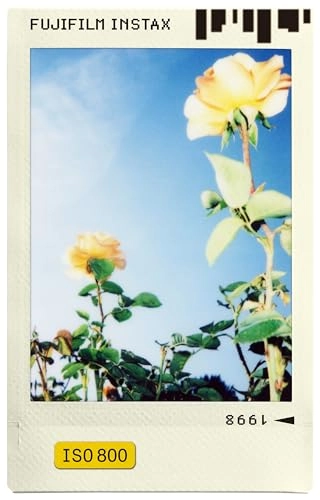 Instax Mini Instant Film - 10 sheets 86 x 54mm