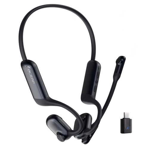 P200b Wireless Headset