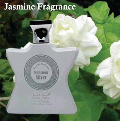 Monsieur Silver Eau de Parfum 100ml