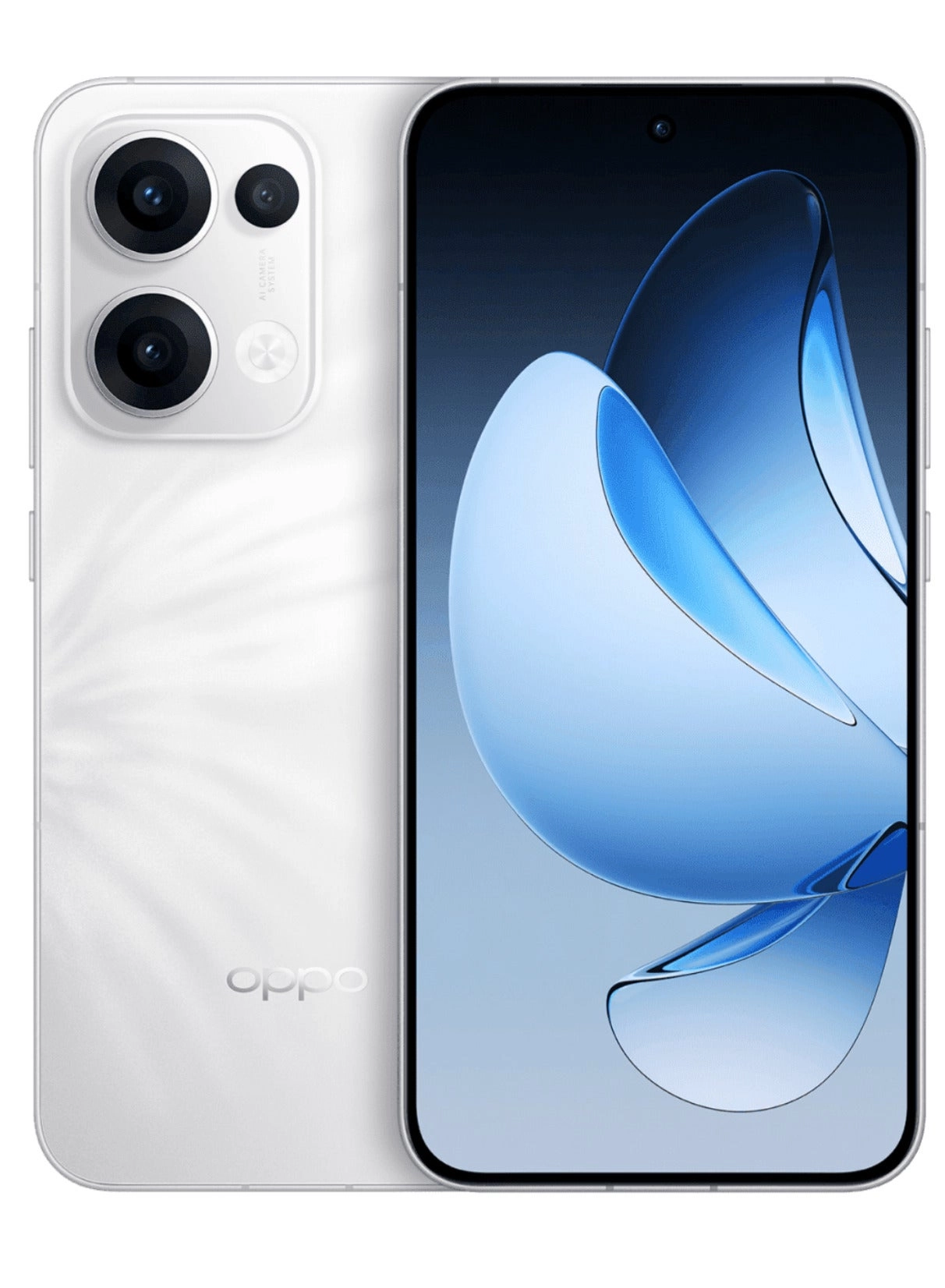 Reno 13 - 16 gigabyte 1000 gigabyte