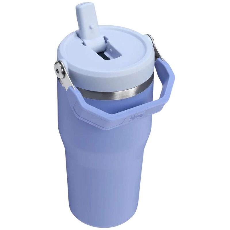 Ice Flow Go Water Bottle - 600 ml Flip Straw