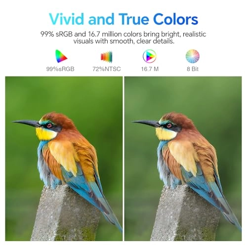 E2411K - 24 Inches 1920 x 1080