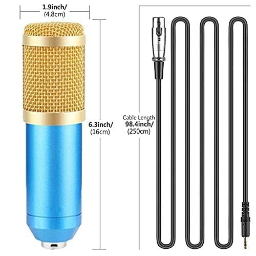BM-800 + Shock Mount Wired Microphone