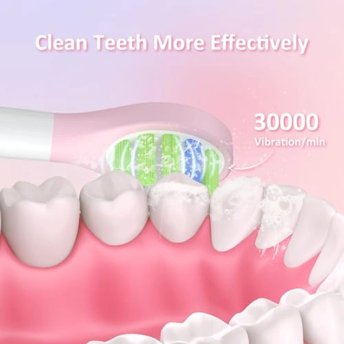 Children's Electric Toothbrush - 2 Minute Timer IPX7 Waterproof