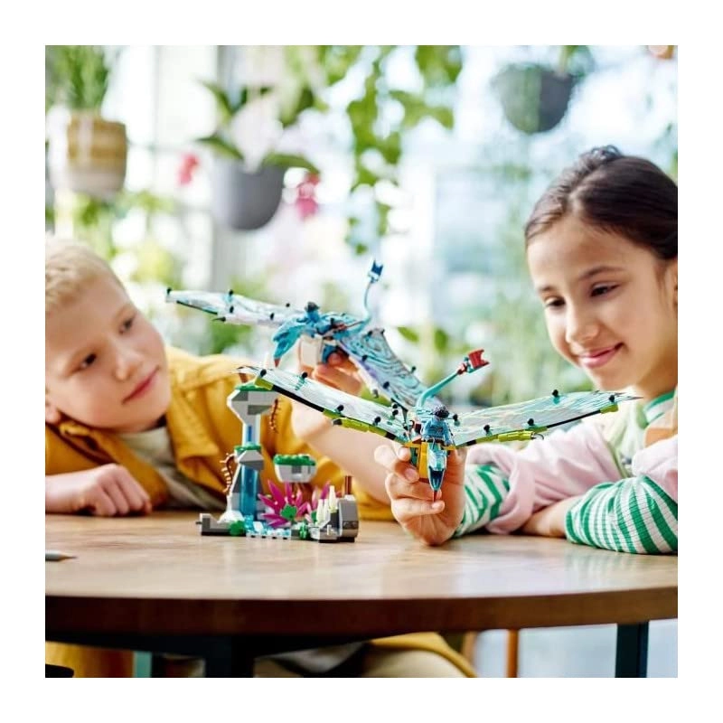 Avatar Jake & Neytiri First Banshee Flight (75572)