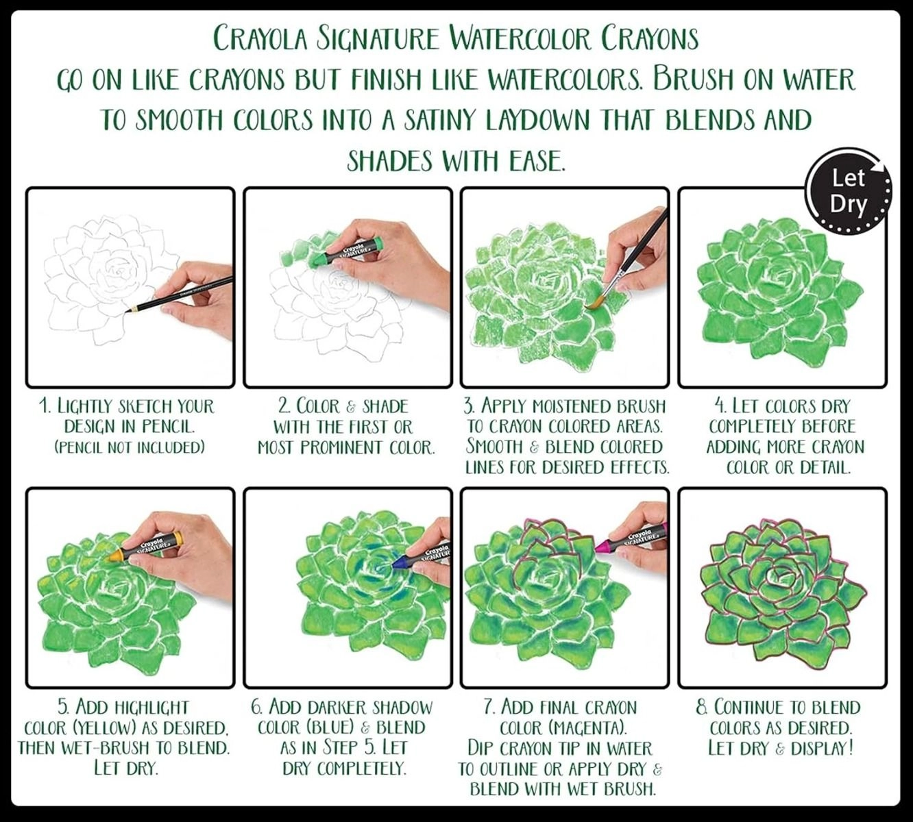 Signature Premium Watercolor - 12 piece(s)