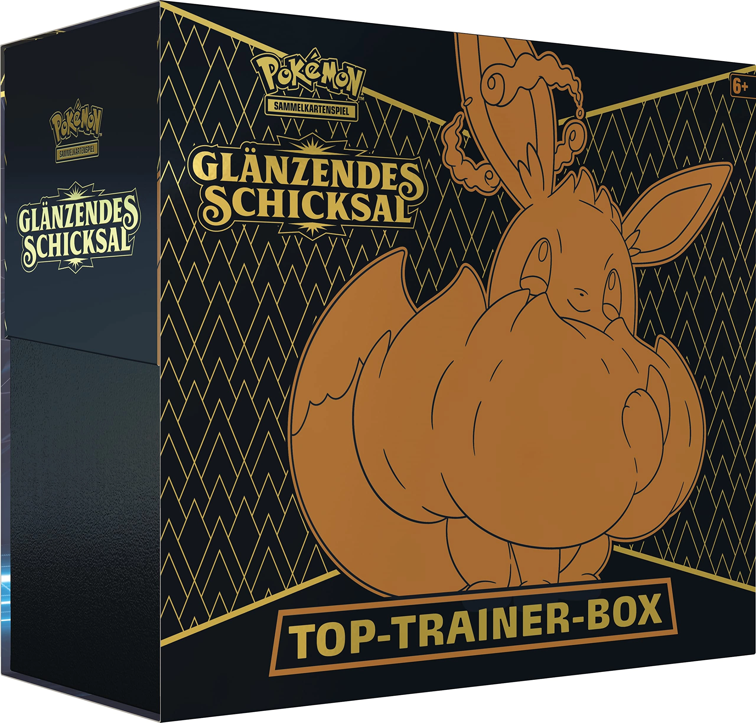 Pokémon Shining Fates Elite Trainer Box