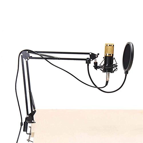 BM800 - Condenser Microphone Kit
