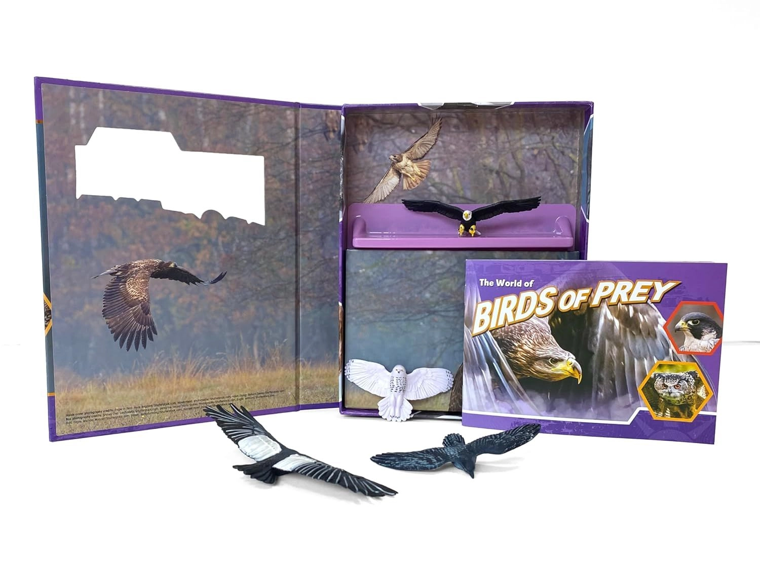 Birds Of Prey Pocket Explorers - 3 + 4 pieces