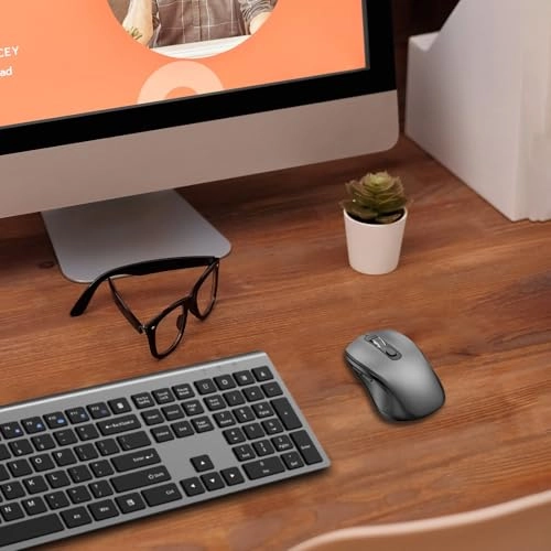 Ergonomic Optical Mouse - USB Wireless