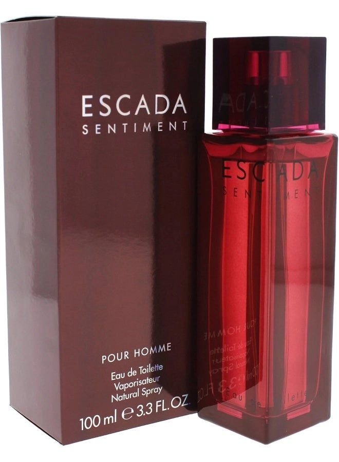 Sentiment Eau de Toilette 100ml